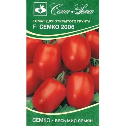 СЕМКО 2006