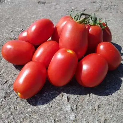 РЕКОРДСМЕН