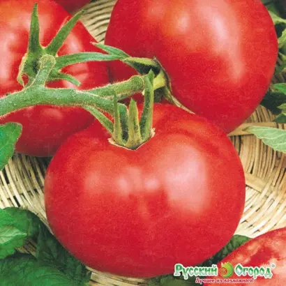 ЛУННАЯ СОНАТА