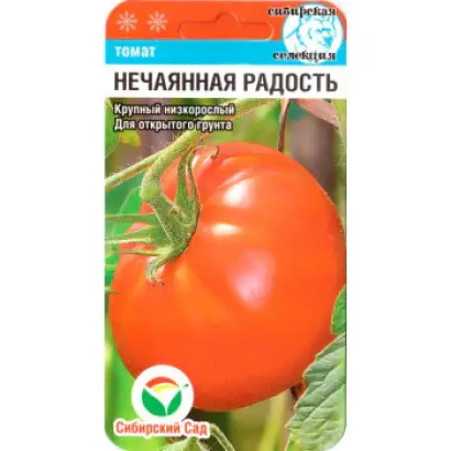 НЕЧАЯННАЯ РАДОСТЬ