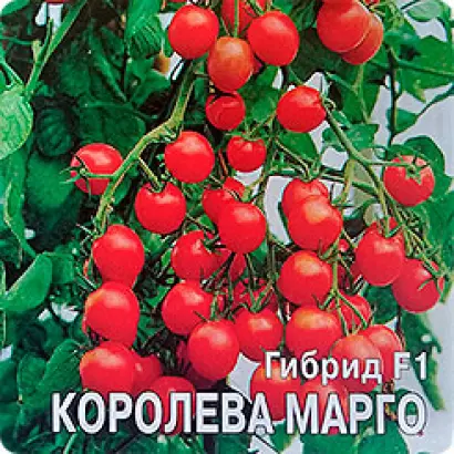 КОРОЛЕВА МАРГО