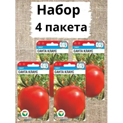 САНТА КЛАУС