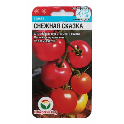 СНЕЖНАЯ СКАЗКА