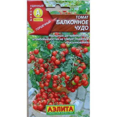 БАЛКОННОЕ ЧУДО