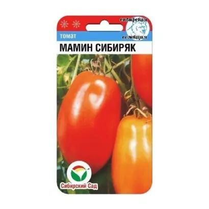 МАМИН-СИБИРЯК