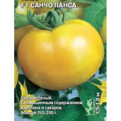 САНЧО ПАНСА