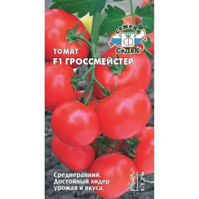 ГРОССМЕЙСТЕР