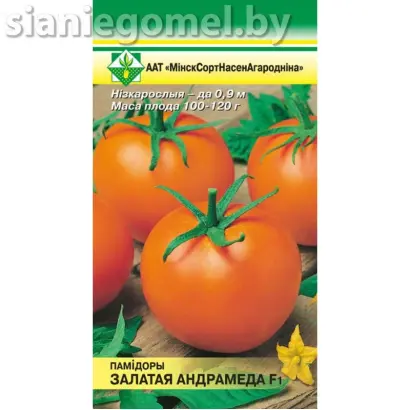 ЗОЛОТАЯ АНДРОМЕДА