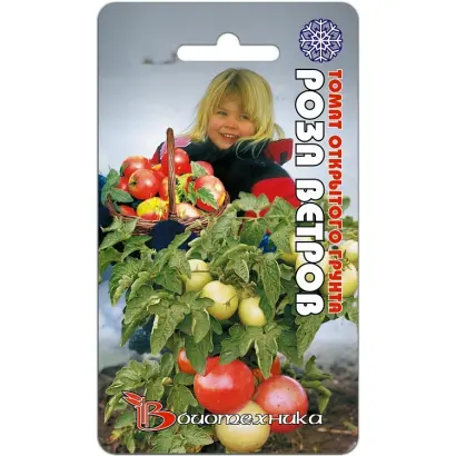 РОЗА ВЕТРОВ