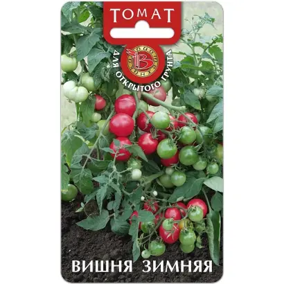 ЗИМНЯЯ ВИШНЯ