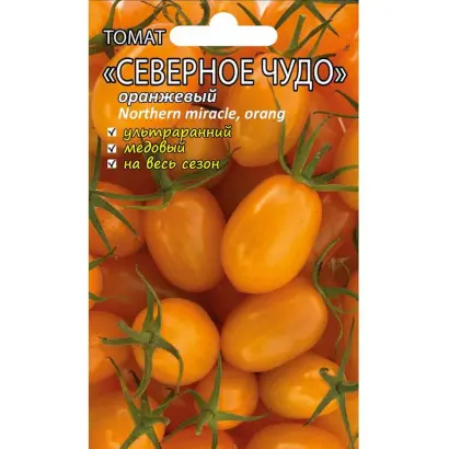 СЕВЕРНОЕ ЧУДО