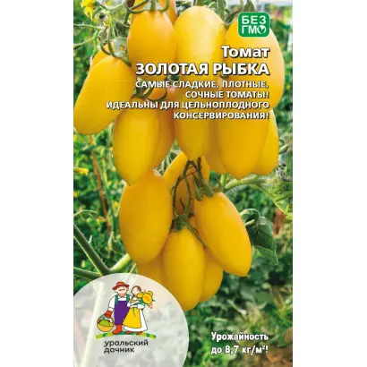 ЗОЛОТАЯ РЫБКА