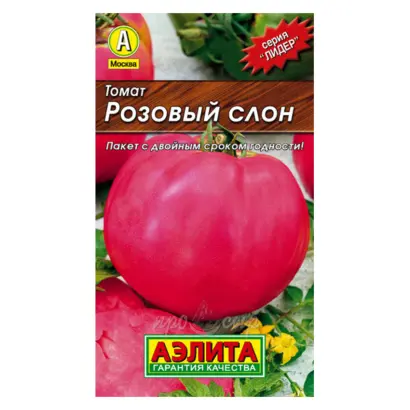 РОЗОВЫЙ СЛОН