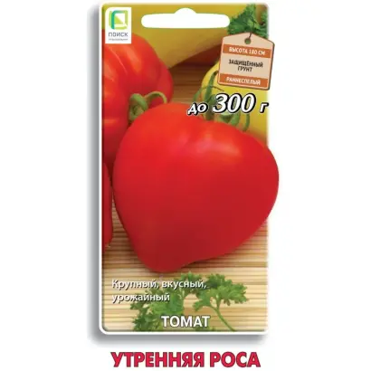 УТРЕННЯЯ РОСА