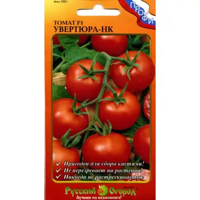 УВЕРТЮРА НК