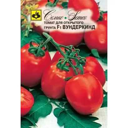 ВУНДЕРКИНД