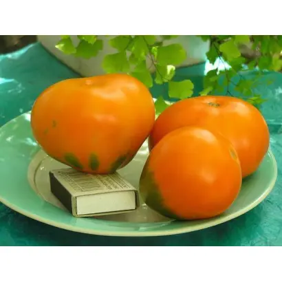 ЛАМПА АЛАДДИНА