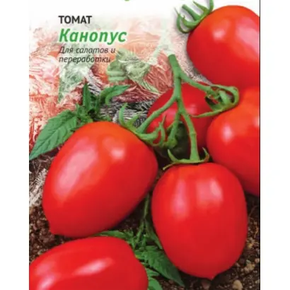 КАНОПУС
