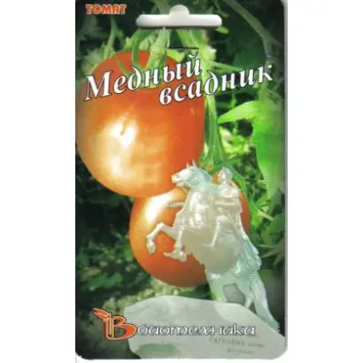 МЕДНЫЙ ВСАДНИК