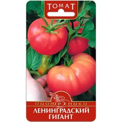 ЛЕНИНГРАДСКИЙ ГИГАНТ