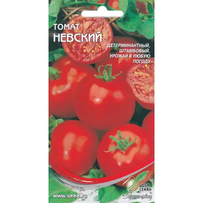 НЕВСКИЙ ПРОСПЕКТ