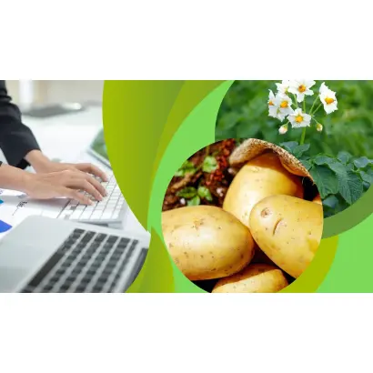 ИНТЕЛЛИГЕНТ