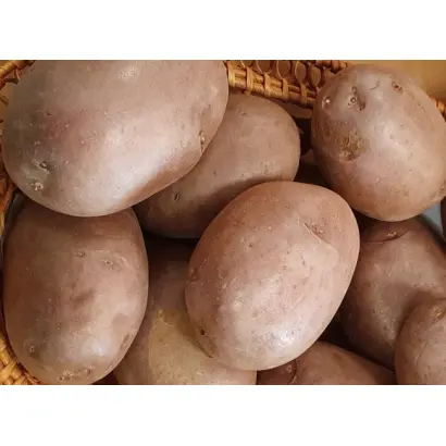 АЛЕКСАНДРИТ