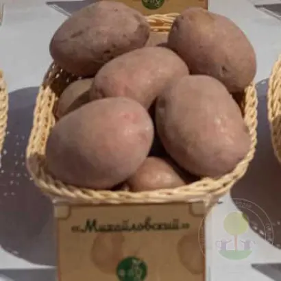 МИХАЙЛОВСКИЙ