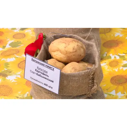 БАБЫНИНСКИЙ