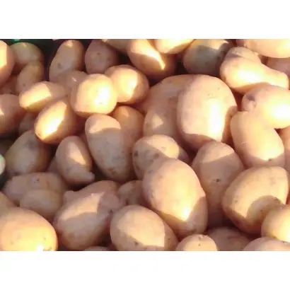 ВЕЧЕРНИЙ ОМСК