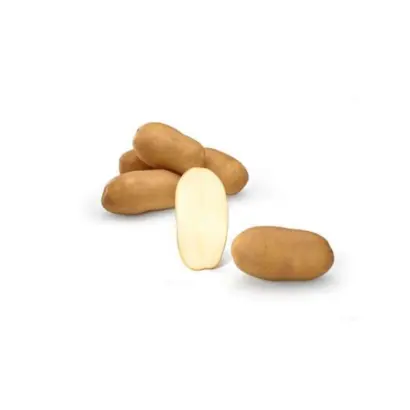 КИНГ РАССЕТ