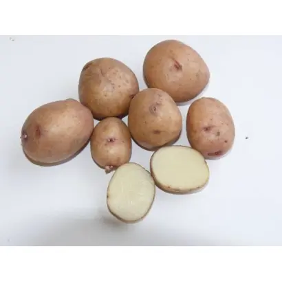 АЛЕКСЕЕВСКИЙ