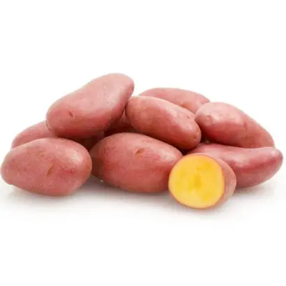 МАЙСКИЙ ЦВЕТОК