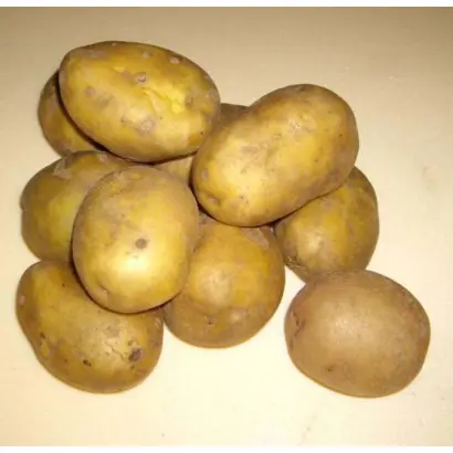 ЛУКЬЯНОВСКИЙ