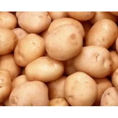 БУРНОВСКИЙ