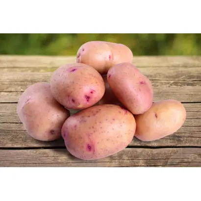 ЖУКОВСКИЙ РАННИЙ