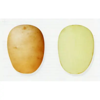 РОЖДЕСТВЕНСКИЙ