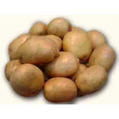 БЕЛОУСОВСКИЙ