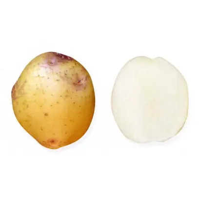 ПАМЯТИ КУЛАКОВА