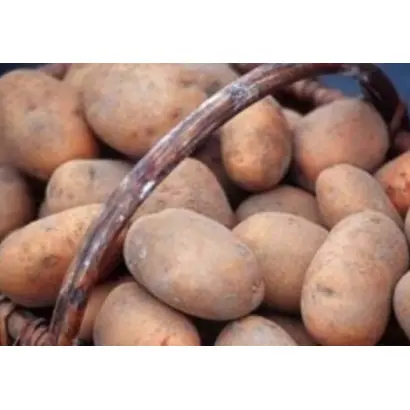 ИПАТОВСКИЙ