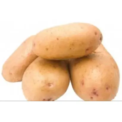 БРЯНСКАЯ НОВИНКА