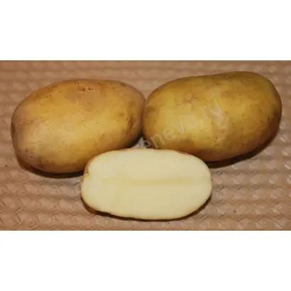 ЮБИЛЕЙ ЖУКОВА