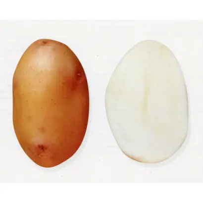 РАДОНЕЖСКИЙ