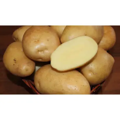 ЖИГУЛЕВСКИЙ