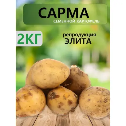 САРМА