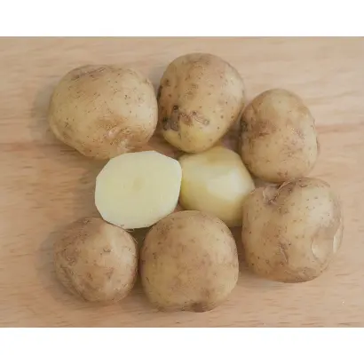 ТИМО ХАНККИЯН