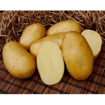 БРЯНСКИЙ ДЕЛИКАТЕС