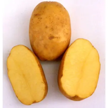 ПАМЯТИ РОГАЧЕВА