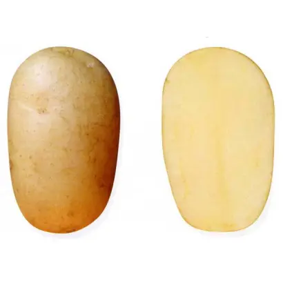 РУССКИЙ СУВЕНИР