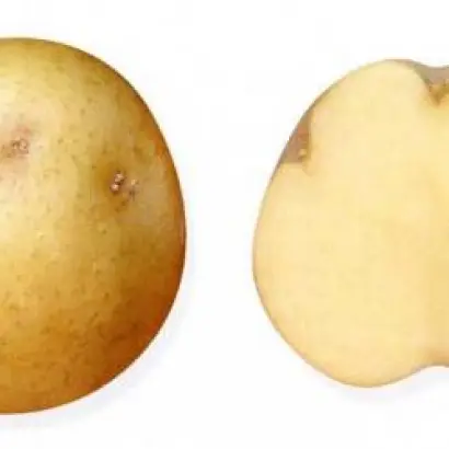 ПАМЯТИ ОСИПОВОЙ